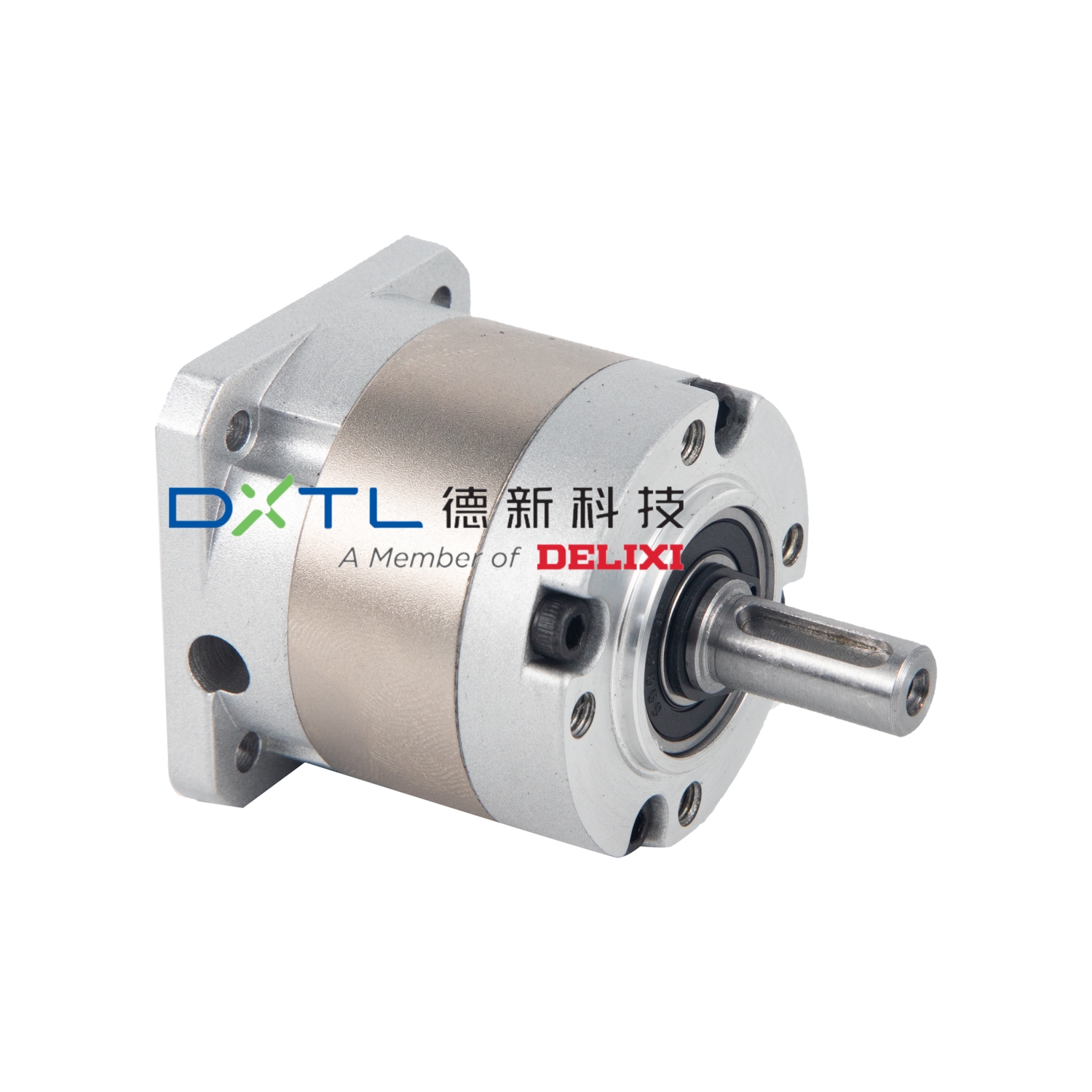42mm High Precision Spur Gear Planetary Gearbox with Single Stage