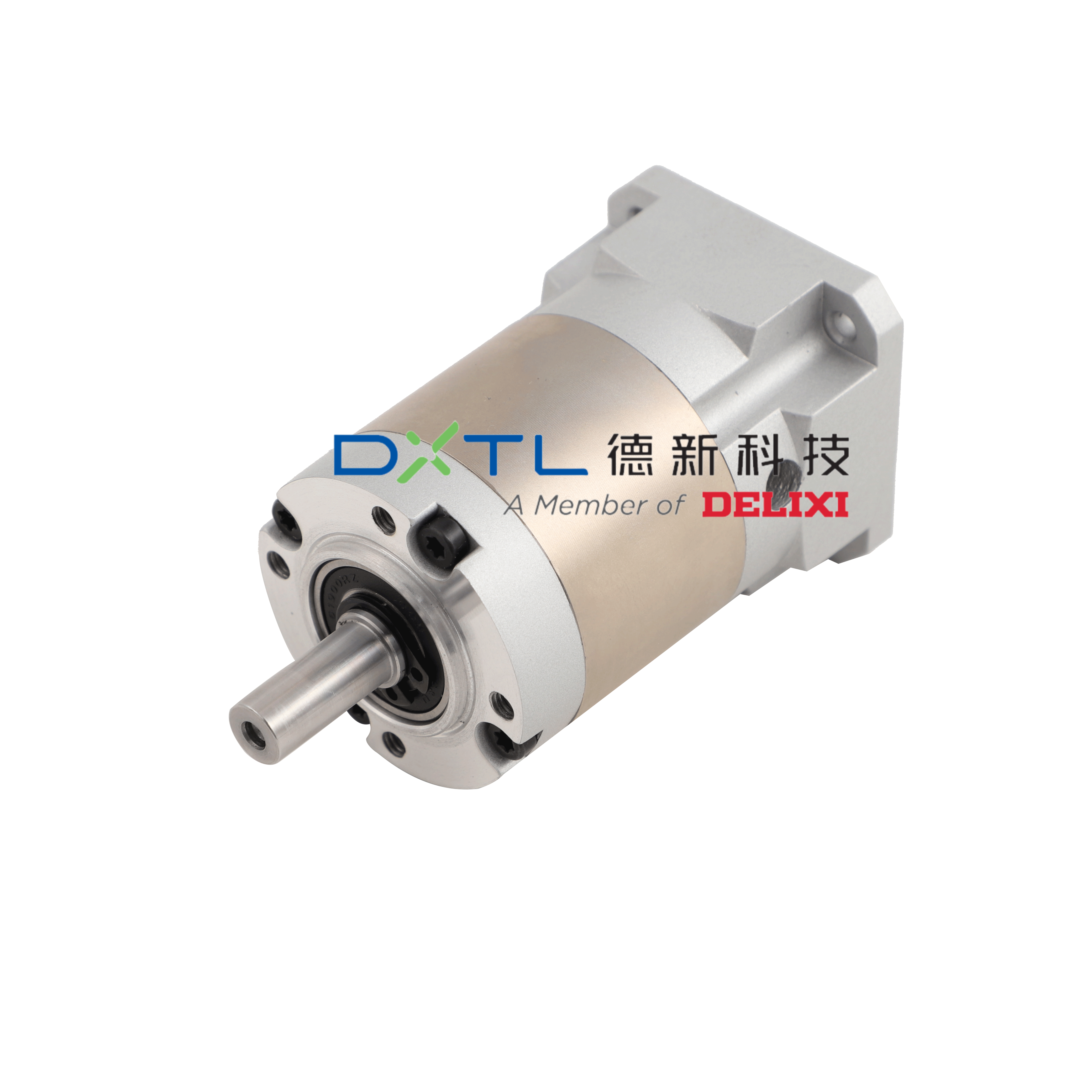 42mm High Precision Spur Gear Planetary Gearbox with Double Stage